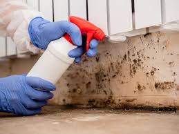 Why You Should Choose Our Mold Remediation Services in Wickes, AR